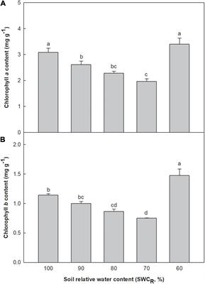 Leaf Intracellular Water Transport Rate Based on Physiological Impedance: A Possible Role of Leaf Internal Retained Water in Photosynthesis and Growth of Tomatoes